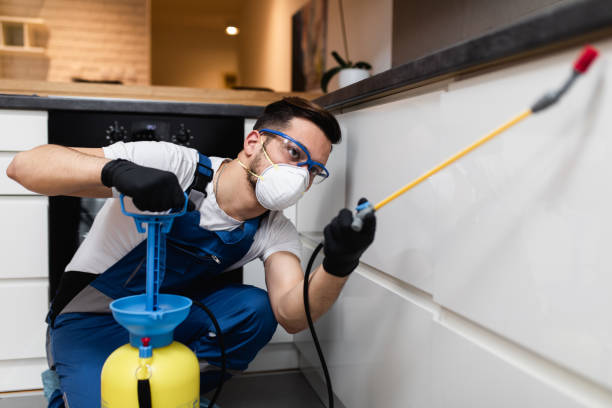 Best Pest Removal Services  in Forestville, CA