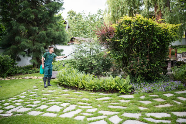 Best Residential Pest Control  in Forestville, CA