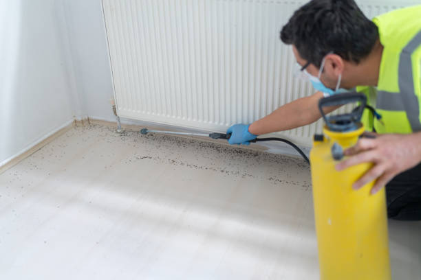 Pest Control Cost in Forestville, CA