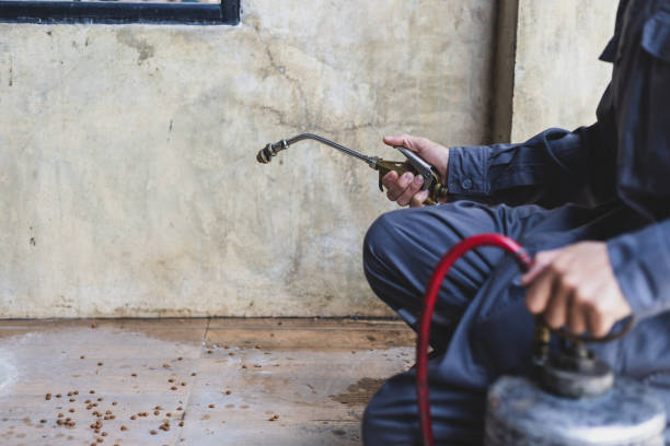 Best Affordable Pest Control Services  in Forestville, CA
